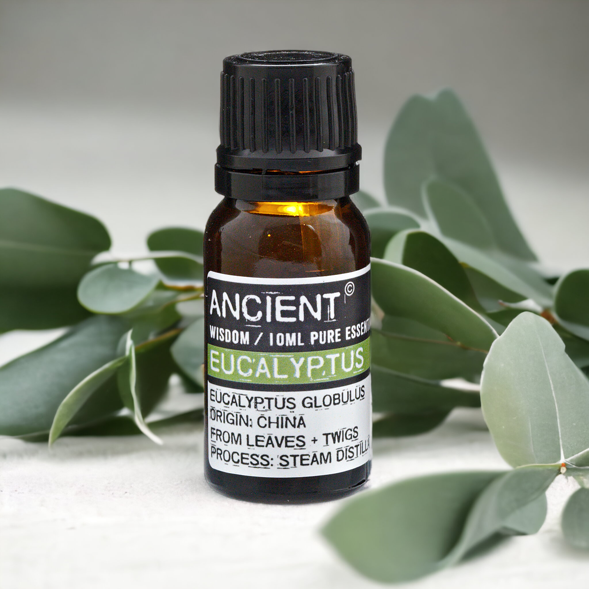 #eucalyptusessentialoil #essentialoilsireland #lilypod #lilypodofficial #handmadewithlove #womanowned #notonamazon #naturalingredients #giftideas #naturalproducts #waterfordbusiness