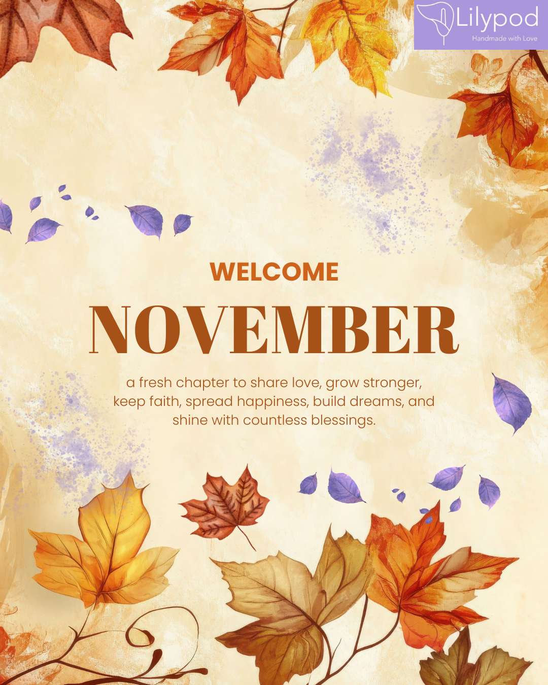 Blag Mí na Samhna | Tá Bailiúchán Nollag Lilypod Ar Fáil Anois! 🎄November Blog | Our Christmas Collection is Live!