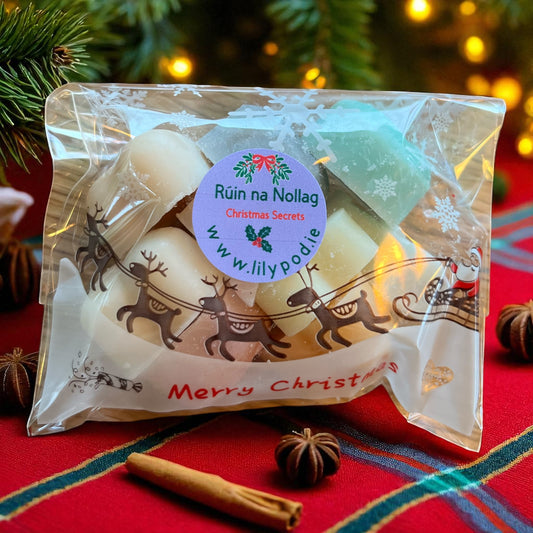 Rúin na Nollag – Christmas Secrets