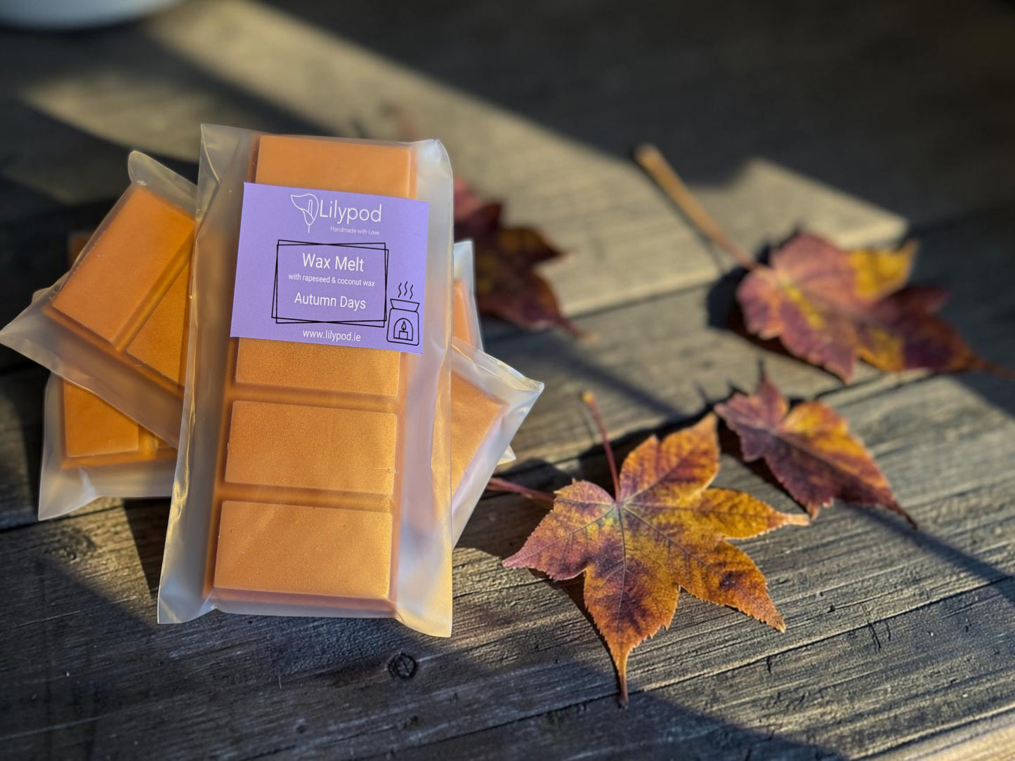 Autumn & Winter Wax Melts