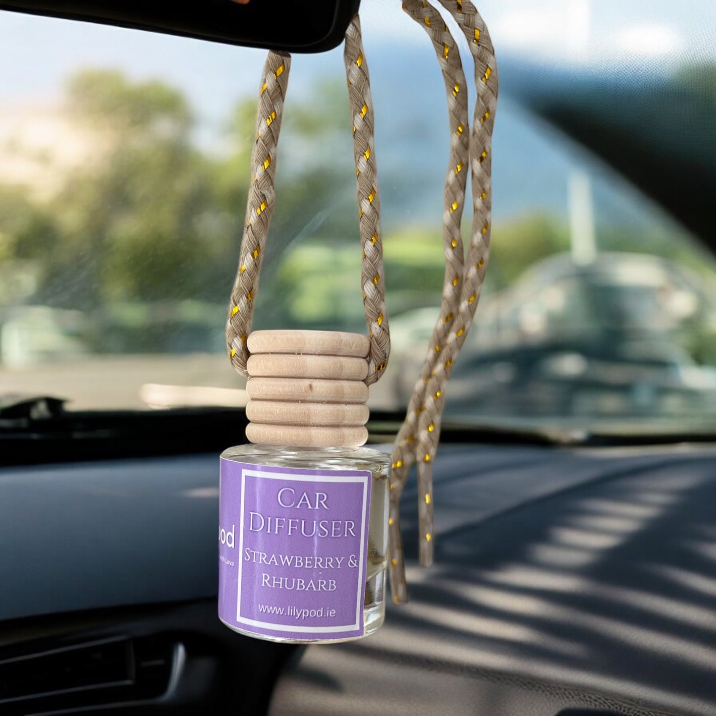 Car Diffusers