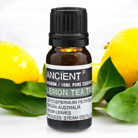 #lemonteatree #essentialoil