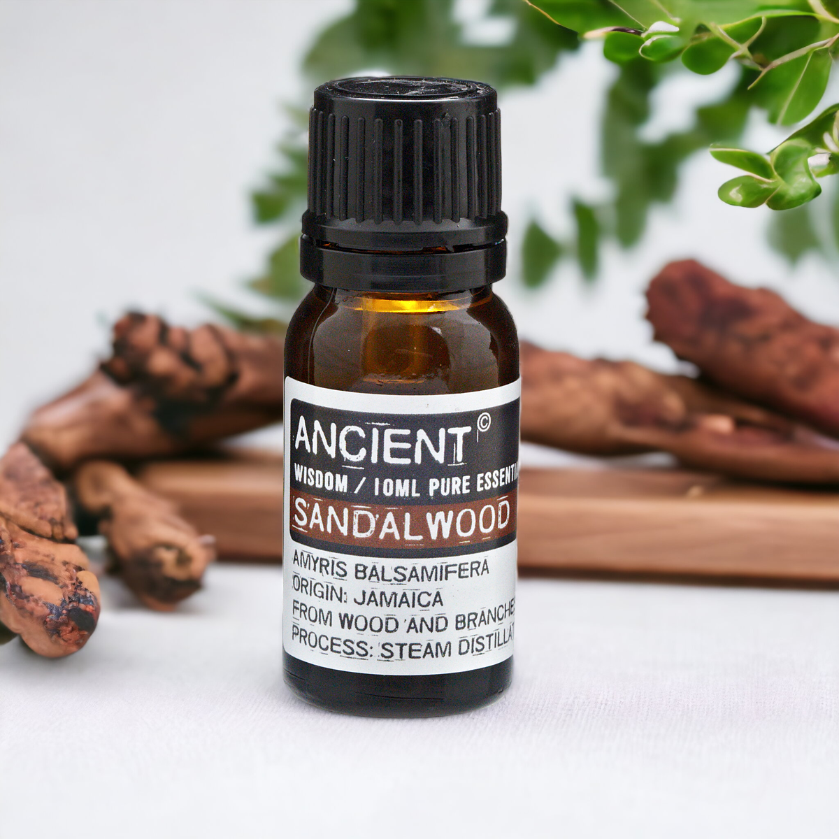 Sandalwood Essential Oil - 10ml