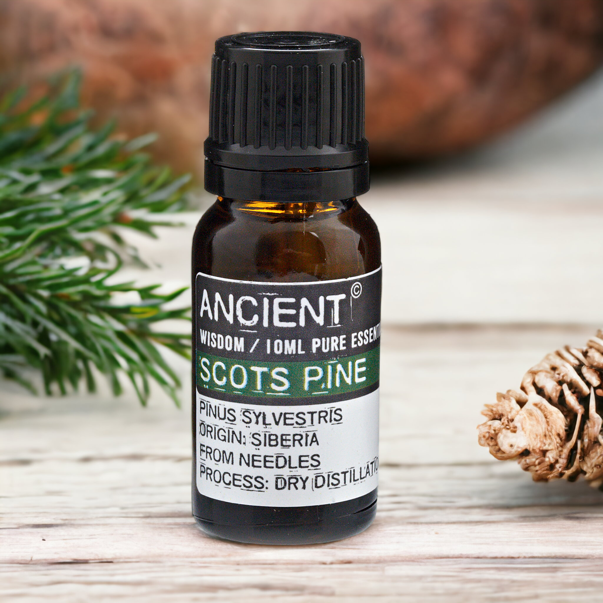 Pine Sylvestris (Scots Pine) Essential Oil - 10ml