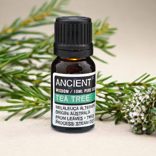 #teatreeessentialoil #essentialoilsireland #lilypod #lilypodofficial #handmadewithlove #waterford #womanowned #notonamazon #naturalingredients #giftideas #naturalproducts